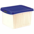Fellowes Bankers Box Heavy Duty Letter/Legal Plastic File Box 2 Pack, Blue, FEL0086202