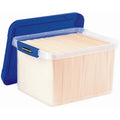Fellowes Bankers Box Heavy Duty Letter/Legal Plastic File Box 2 Pack, Blue, FEL0086202