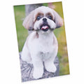 Universal Photo Frame, Clear, 3 / Pack, UNV76850