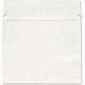Universal Envelope, White, 100 / Box, UNV19002