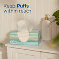 Puffs Plus Lotion Facial Tissue, White, 6 / Pack, PGC39383