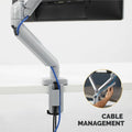 Fellowes Platinum Mounting Arm for Monitor - Silver, FEL8056401