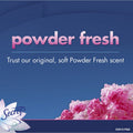 Procter & Gamble Secret Powder Fresh Deodorant, Multicolor, 24 / Carton, PGC31384CT