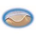 Avery CD Pages, Clear, 5 / Pack, AVE75263