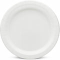 AJM Packaging 9" Dinnerware Paper Plates, White, 125 / Pack, AJMCP9AJCWWH1