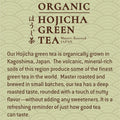 Crystal Geyser Water Tejava Origins Organic Hojicha Green Tea Bottle, 12 / Carton, CWG40167