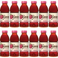 Crystal Geyser Water Tejava Raspberry Black Tea Bottle, 12 / Carton, CWG40160