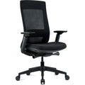 The Raynor Eurotech Elevate Chair, EUTELV2BLKFSBLK