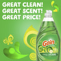 Procter & Gamble Gain Ultra Original Scent Dishwashing Liquid, Green, 12 / Carton, PGC98110