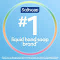 Colgate-Palmolive Softsoap Aquarium Hand Soap, Clear, CPCUS04966A