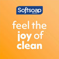 Colgate-Palmolive Softsoap Antibacterial Liquid Hand Soap, Green, CPCUS07326A