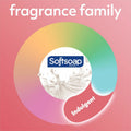 Colgate-Palmolive Softsoap Warm Vanilla Hand Soap, White, CPCUS07059A