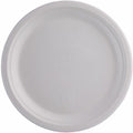 Eco-Products Vanguard 10" Sugarcane Plates, White, 500 / Carton, ECOEPP005NFA