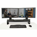 Rocelco Dual Monitor Stand AC-USB, Black, RCLRDMS