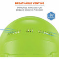 Tenacious Holdings Ergodyne 8966 Lightweight Cap-Style Hard Hat, Lime, EGO60224