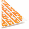 Smead ETS Color-Coded Year Labels, Orange, 1 Pack, SMD67924
