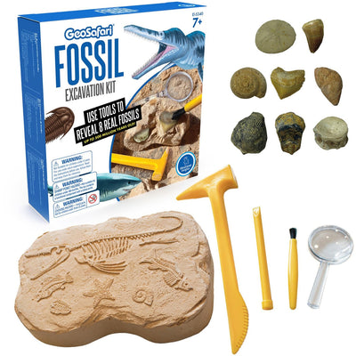 Educational Insights GeoSafari Fossil Excavation Kit, Multi, EII5340