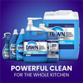 Procter & Gamble Dawn Manual Pot/Pan Detergent, Blue, 8 / Carton, PGC08836