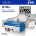 Brother DR229CL Drum Unit, BRTDR229CL