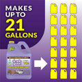 Sunshine Makers Simple Green Concrete/Driveway Cleaner Concentrate, Purple, SMP18233