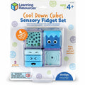 Learning Resources Cool Down Cubes Sensory Fidget Set, Multi, LRNLER5582