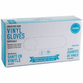 Remcoda Powder-Free Vinyl Gloves, Clear, 100 / Box, RMLVIN101S