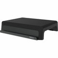 Fellowes Breyta Monitor Stand, Black, FEL100098502