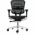 The Raynor Group Eurotech ErgoHuman Gen2 Executive All-Mesh Chair, Black, EUTME8ERGLOG2BK
