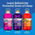 The Clorox Company Clorox Fraganzia Multi-Purpose Cleaners, Orange, 3 / Carton, CLO60615CT