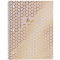 Pukka Pads 2000 Pukka Pads Haze Notebook, 8 1/2" x 11", 3 / Pack, PKP9978ASTHZE
