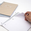 Pukka Pads 2000 Pukka Pads Haze Notebook, 8 1/2" x 11", 3 / Pack, PKP9978ASTHZE