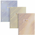 Pukka Pads 2000 Pukka Pads Haze Notebook, 8 1/2" x 11", 3 / Pack, PKP9978ASTHZE