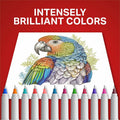 Newell Sharpie Permanent Markers, 24 / Pack, SAN2105407