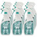 Sunshine Makers Simple Green Lime-Calcium-Surface Residue Remover, Turquoise, 12 / Carton, SMP1700032CT