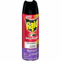 S. C. Johnson & Son Raid Ant & Roach Killer Spray, Red, SJN386221