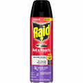 S. C. Johnson & Son Raid Ant & Roach Killer Spray, Red, SJN386221