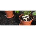 Brother Genuine P-touch TZe252 RD on WHT Label Tape, Laminated, 24mmX8m, White, BRTTZE252G