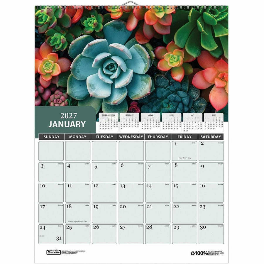 House of Doolittle Recycled Succulent & Cacti Wall Calendar, Multi, 11", 6EA/PK 2PK/CT — view 1