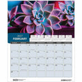 House of Doolittle Recycled Succulent & Cacti Wall Calendar, Multi, 11", HOD317