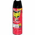 S. C. Johnson & Son Raid Ant & Roach Killer Spray, Clear, SJN386220