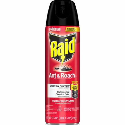S. C. Johnson & Son Raid Ant & Roach Killer Spray, Clear, SJN386220