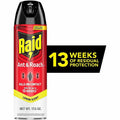 S. C. Johnson & Son Raid Ant & Roach Killer Spray, Red, SJN386214