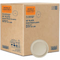 World Centric Compostable Fiber Plate, Natural, 800 / Carton, WORPLSCU10LFP
