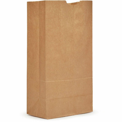 AJM Packaging #20 Tall Extra Heavy-Duty Kraft Paper Grocery Bags, Natural Kraft, 500 / Carton, AJMGBN120G5CEHT