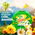 Febreze Gain Flings Detergent Pacs, Green, 4 / Carton, PGC09207CT