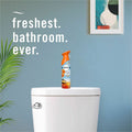 Procter & Gamble Febreze Air Effects Air Freshener, Orange, 2 / Pack, PGC17342