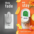 Procter & Gamble Febreze FadeDefy PLUG Air Freshener, Orange, 3 / Pack, PGC13843