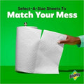 Procter & Gamble Bounty Select-A-Size Paper Towels, White, 6 / Carton, PGC16020