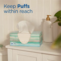 Procter & Gamble Puffs Plus Lotion Facial Tissue, White, 24 / Carton, PGC58600