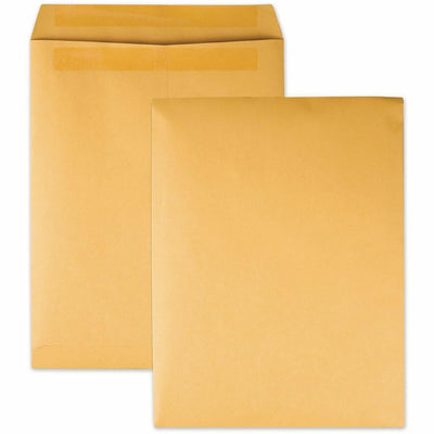 TOPS Quality Park Redi-Seal Catalog Envelopes, Brown, 100 / Box, QUA43667